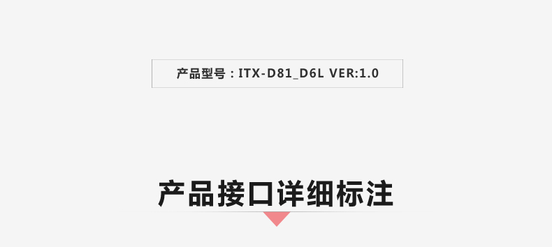 D81_D6L-VER1_02.jpg