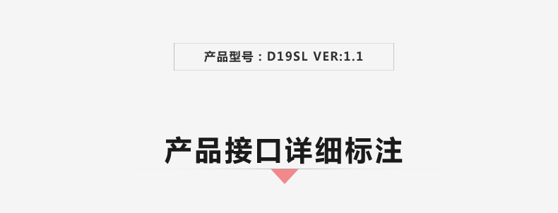 D19SL-VER1_02.jpg